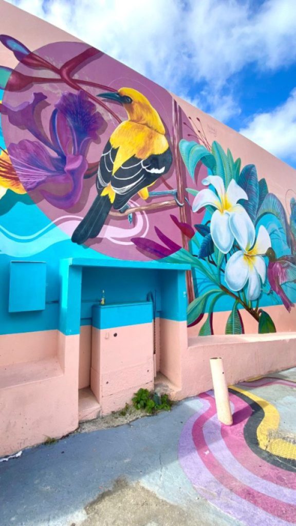 Wat te doen op Curaçao willemstad streetart ervaring reizen