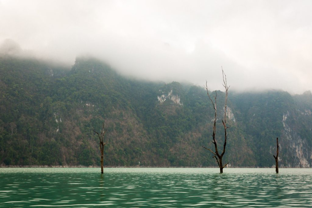 jungle thailand khao sok
