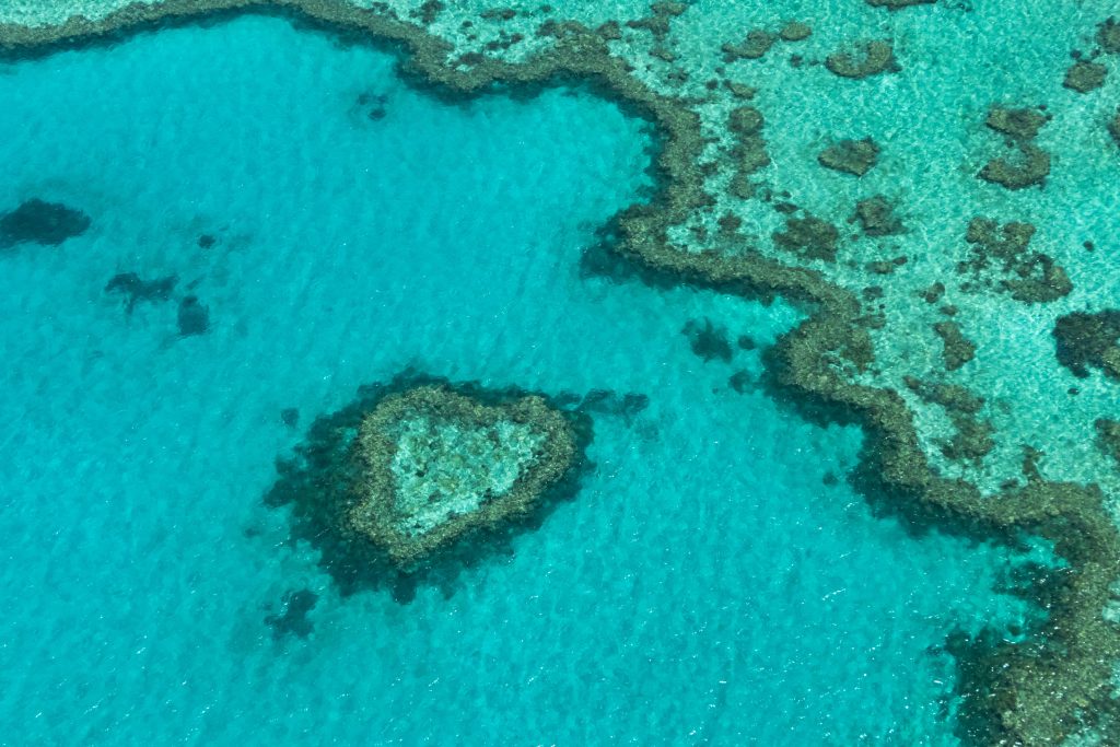 great barrier reef Wil jij op vakantie naar Australie en Oceanië dan ben je vast benieuwd naar de mooiste plekken om te gaan ontdekken! Wereldreizen tips