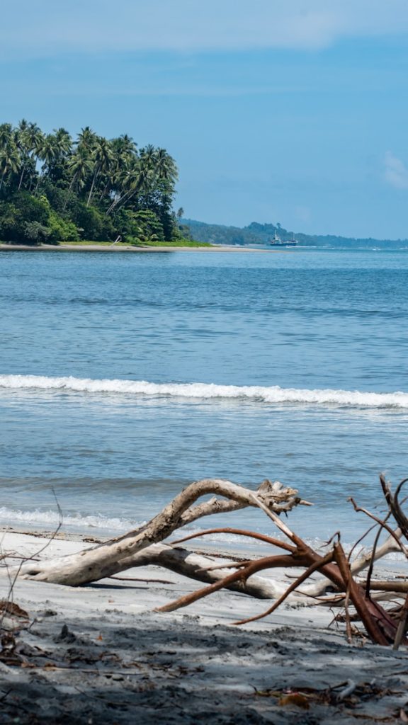 solomon islands Wil jij op vakantie naar Australie en Oceanië dan ben je vast benieuwd naar de mooiste plekken om te gaan ontdekken! Wereldreizen tips