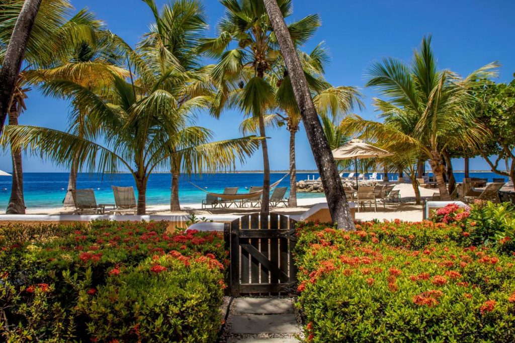 Soloreizen naar Bonaire