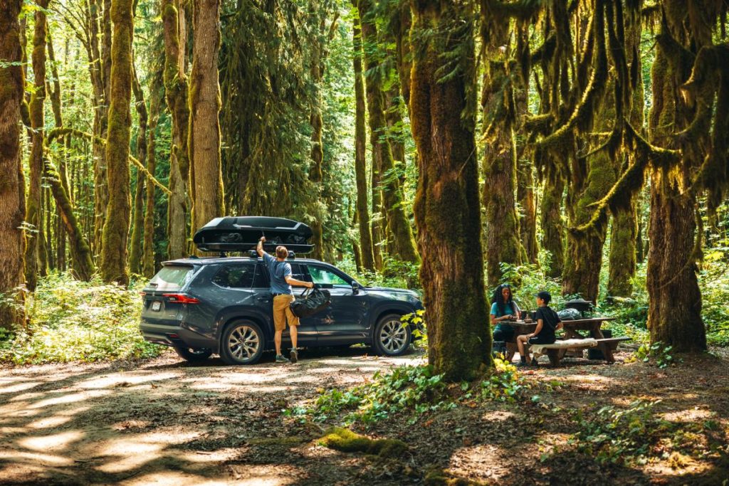Thule dakkoffer force 3 voor onderweg