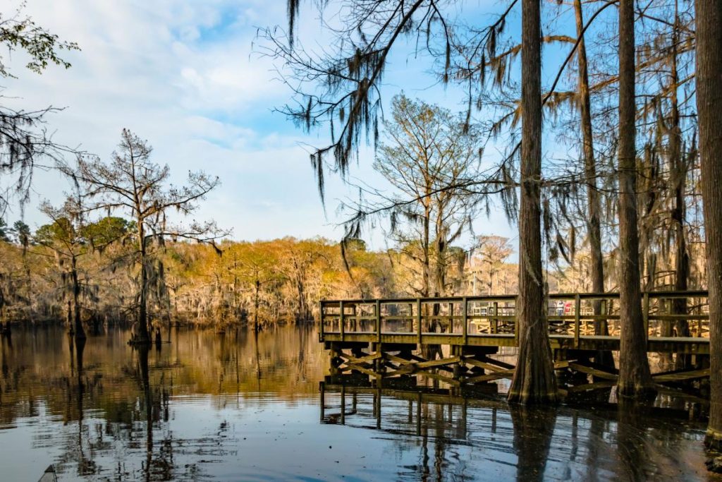 Caddo Lake state park texas hiken