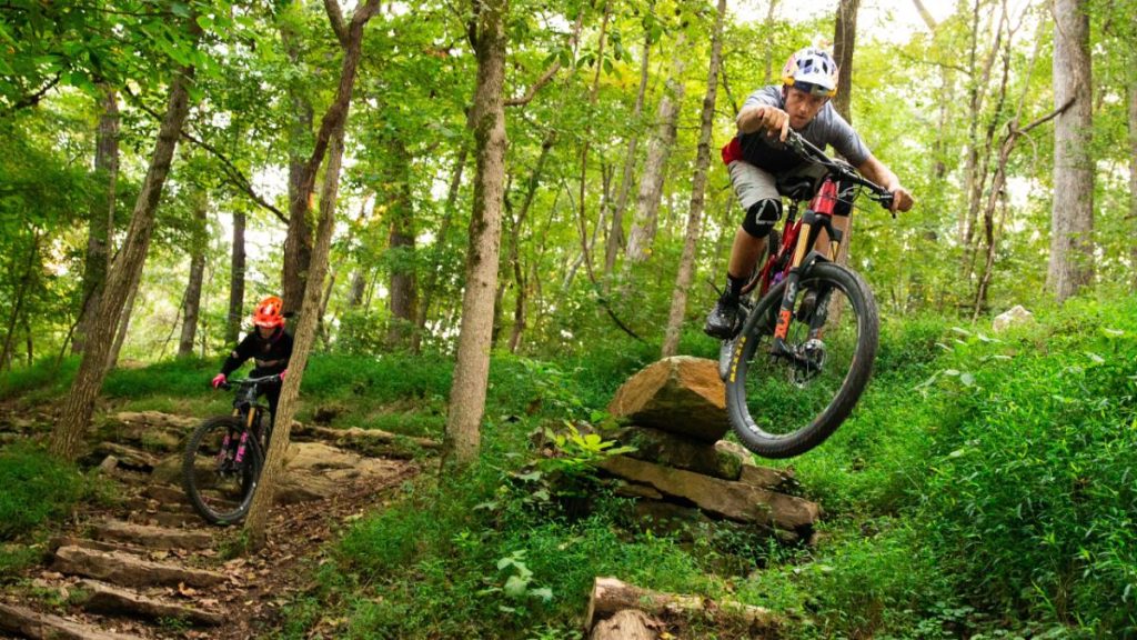 mountainbiken in bos